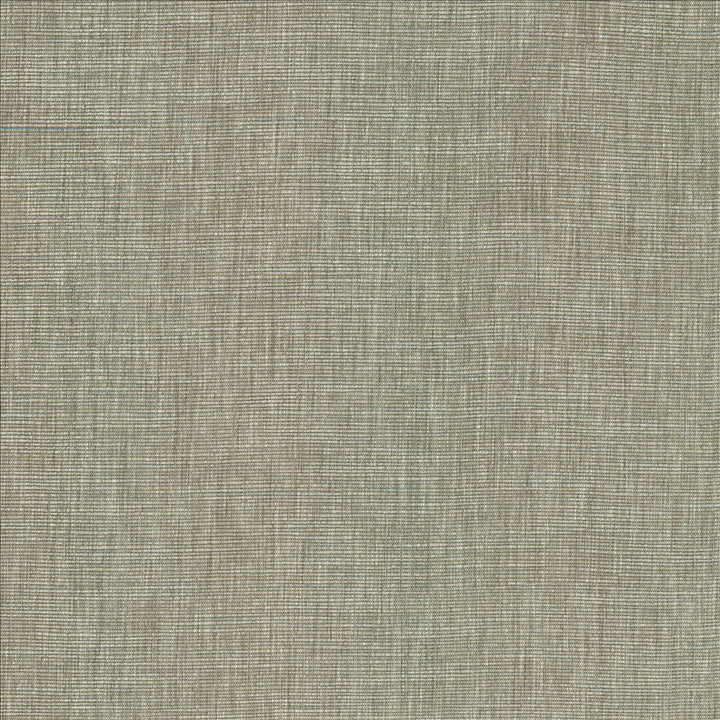 Beltran Elephant by Kasmir Designer Fabric 5163 100% Polyester
 INDIA </p><p>Repeat: Horizontal: N/A and Vertical: N/A 54 - Swanky Fabrics -