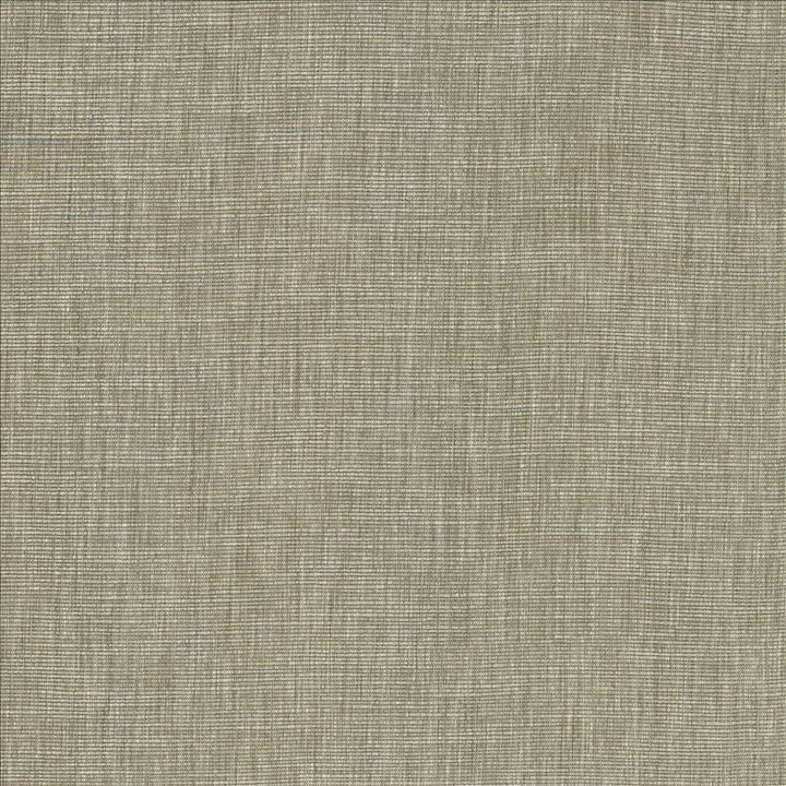 Beltran Elephant by Kasmir Designer Fabric 5163 100% Polyester
 INDIA 20,000 Wyzenbeek Double Rubs </p><p>Repeat: Horizontal: N/A and Vertical: N/A 54 - Swanky Fabrics -