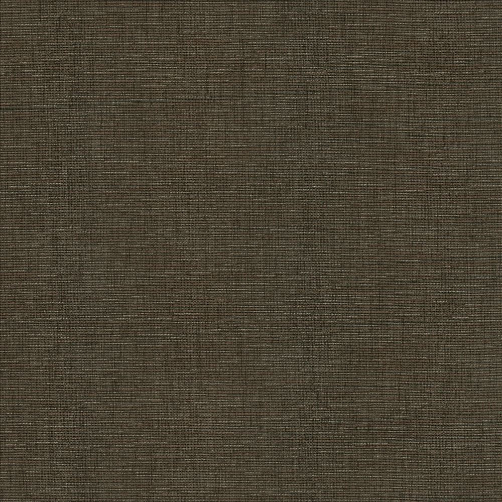 Beltran Falcon  by Kasmir Designer Fabric 5163 100% Polyester
 INDIA 20,000 Wyzenbeek Double Rubs Horizontal: N/A and Vertical: N/A 54  - Swanky Fabrics -