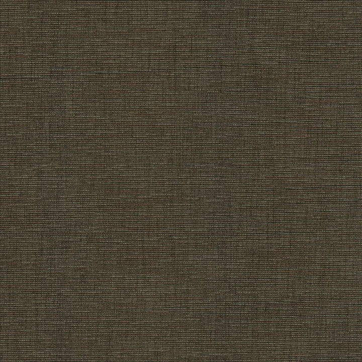 Beltran Falcon by Kasmir Designer Fabric 5163 100% Polyester
 INDIA </p><p>Repeat: Horizontal: N/A and Vertical: N/A 54 - Swanky Fabrics -