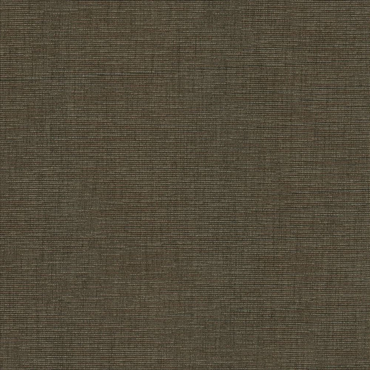 Beltran Falcon by Kasmir Designer Fabric 5163 100% Polyester
 INDIA 20,000 Wyzenbeek Double Rubs </p><p>Repeat: Horizontal: N/A and Vertical: N/A 54 - Swanky Fabrics -