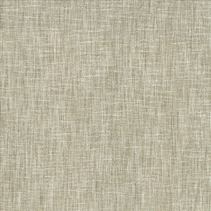 Beltran French Gray by Kasmir Designer Fabric 5163 100% Polyester
 INDIA 20,000 Wyzenbeek Double Rubs </p><p>Repeat: Horizontal: N/A and Vertical: N/A 54 - Swanky Fabrics -
