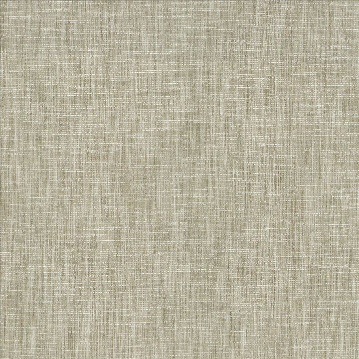 Beltran French Gray by Kasmir Designer Fabric See sample 100% Polyester
 INDIA 20,000 Wyzenbeek Double Rubs </p><p>Repeat: Horizontal: N/A and Vertical: N/A 54 - Swanky Fabrics -