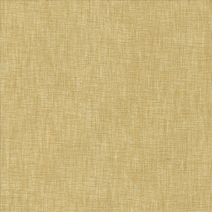 Beltran Hay by Kasmir Designer Fabric 5163 100% Polyester
 INDIA 20,000 Wyzenbeek Double Rubs </p><p>Repeat: Horizontal: N/A and Vertical: N/A 54 - Swanky Fabrics -