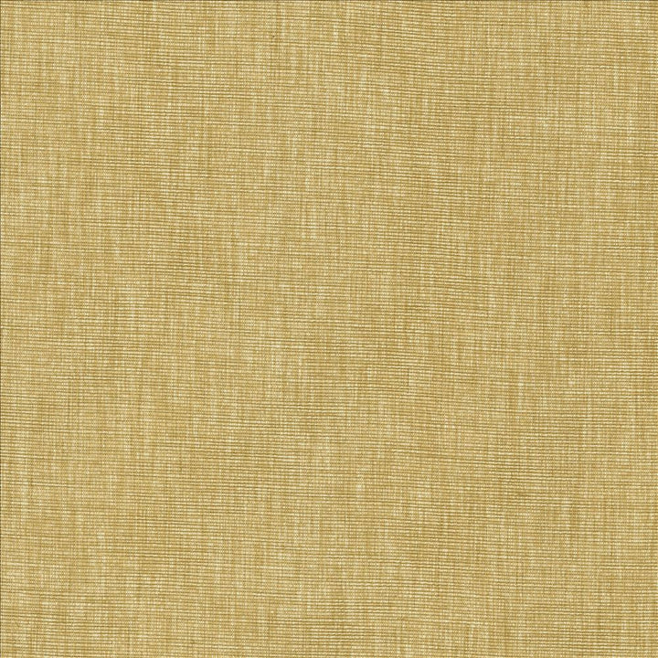 Beltran Hay by Kasmir Designer Fabric 5163 100% Polyester
 INDIA </p><p>Repeat: Horizontal: N/A and Vertical: N/A 54 - Swanky Fabrics -
