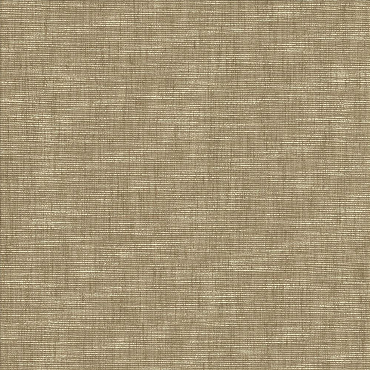 Beltran Skimming Stone by Kasmir Designer Fabric 5163 100% Polyester
 INDIA 20,000 Wyzenbeek Double Rubs </p><p>Repeat: Horizontal: N/A and Vertical: N/A 54 - Swanky Fabrics -