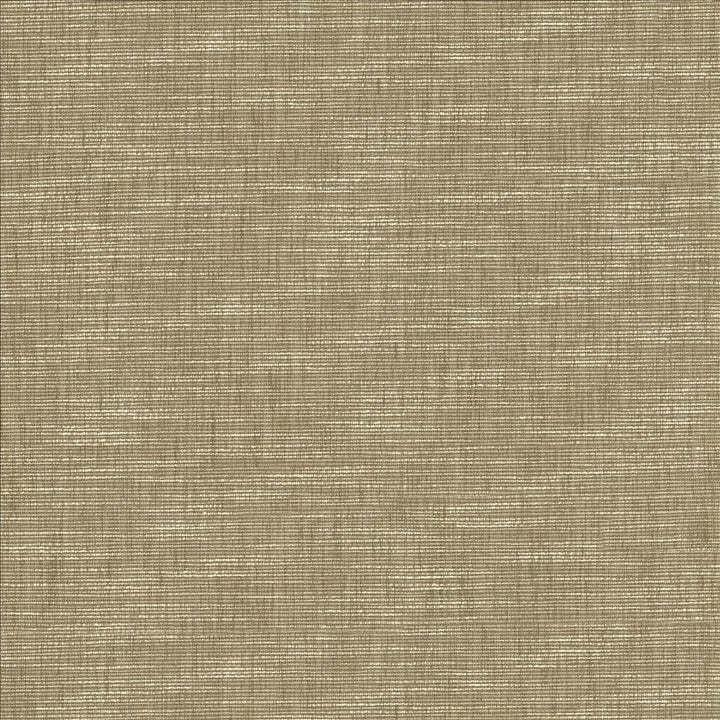Beltran Skimming Stone by Kasmir Designer Fabric 5163 100% Polyester
 INDIA </p><p>Repeat: Horizontal: N/A and Vertical: N/A 54 - Swanky Fabrics -