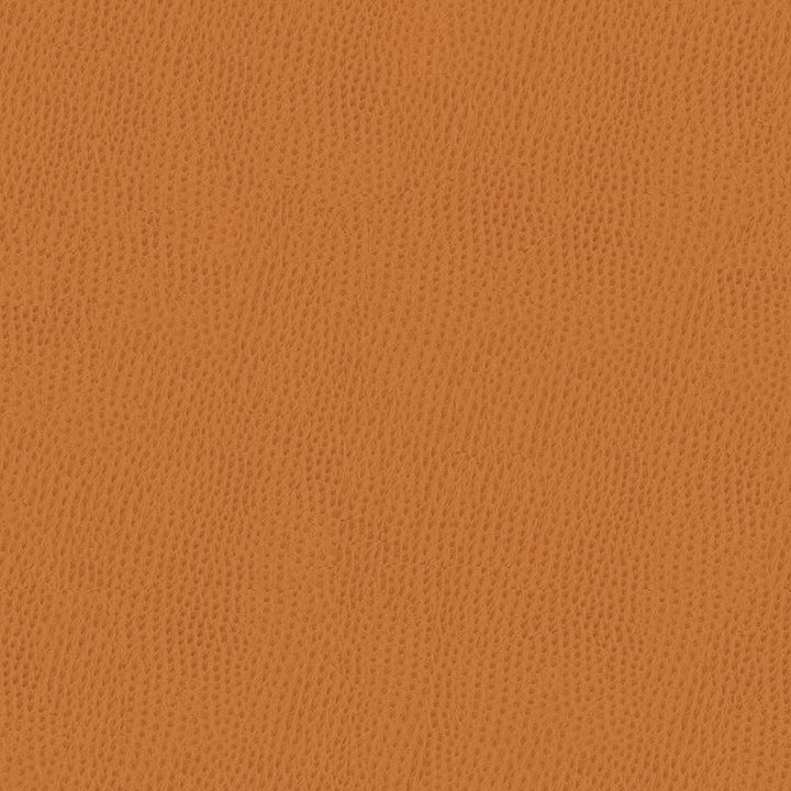 BELUS.212 by Kravet Contract Designer Fabric our website for purchase 100% Leather Taiwan Heavy Horizontal: see sample and Vertical: see sample 54 inches - Swanky Fabrics -