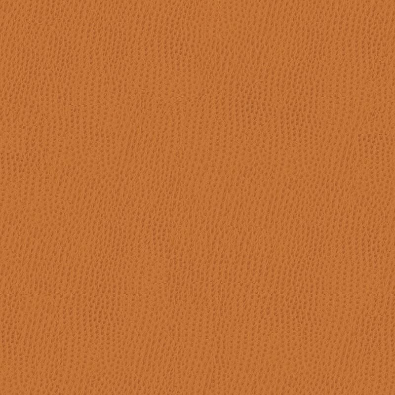 BELUS.212 by Kravet Contract Designer Fabric in our sample Poly Vinyl Chloride 100% Taiwan Heavy Horizontal: See Sample and Vertical: See Sample 54 inches - Swanky Fabrics -