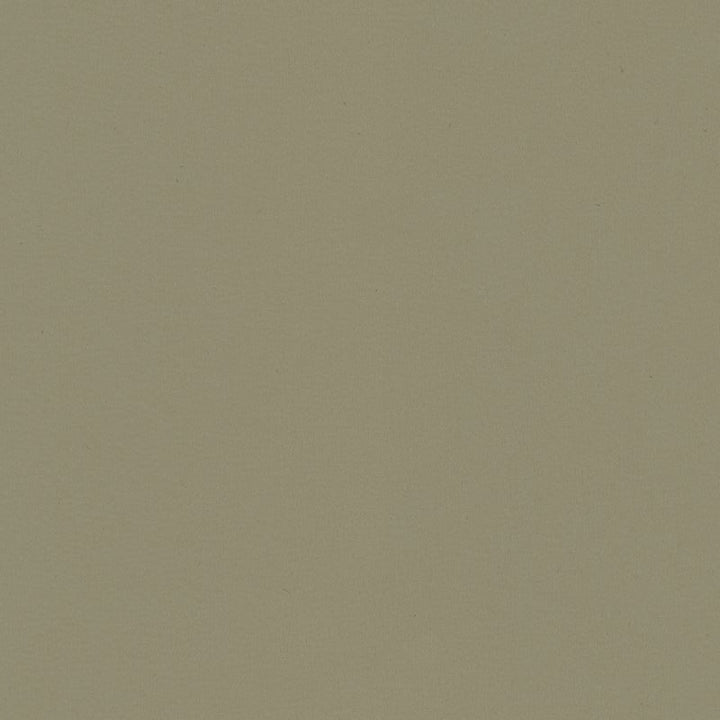 BERTA.11 by Kravet Contract Designer Fabric our website for purchase 100% Leather Taiwan Heavy Horizontal: see sample and Vertical: see sample 54 inches - Swanky Fabrics -