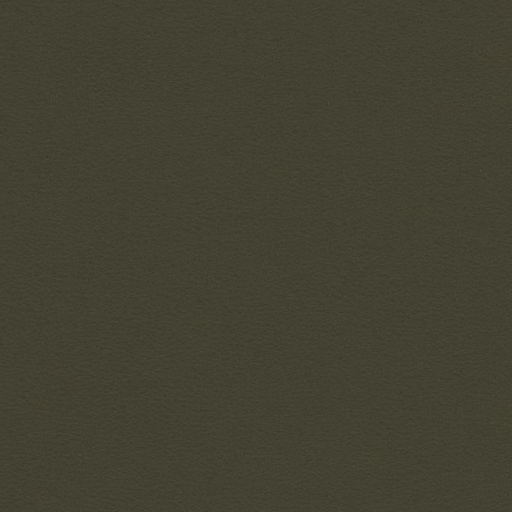 BERTA.21 by Kravet Contract Designer Fabric our website for purchase 100% Leather Taiwan Heavy Horizontal: see sample and Vertical: see sample 54 inches - Swanky Fabrics -