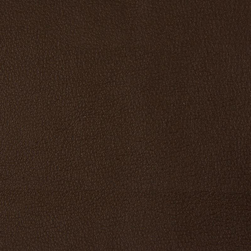 BERTA.66 by Kravet Contract Designer Fabric our website for purchase 100% Leather Taiwan Heavy Horizontal: see sample and Vertical: see sample 54 inches - Swanky Fabrics -