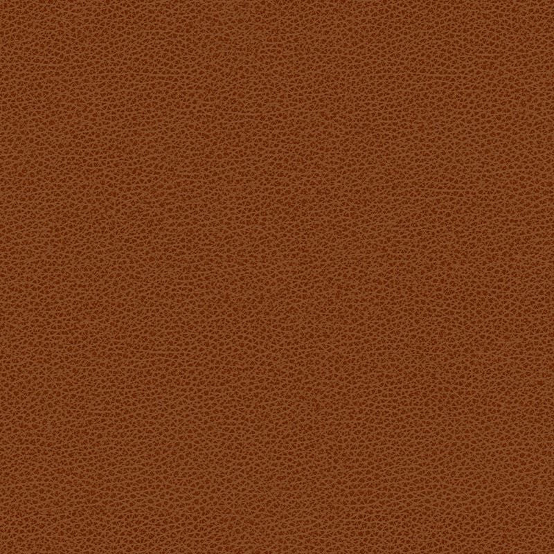 BESS.24 by Kravet Contract Designer Fabric in our sample Poly Vinyl Chloride 100% Taiwan Heavy Horizontal: See Sample and Vertical: See Sample 54 inches - Swanky Fabrics -