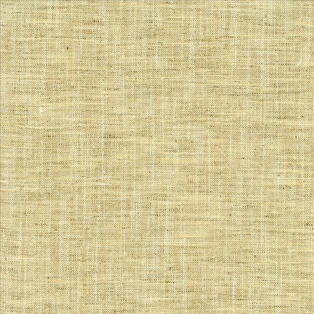 Best In Show Birch by Kasmir Designer Fabric 5144 100% Polyester
 INDIA </p><p>Repeat: Horizontal: N/A and Vertical: N/A 55 - Swanky Fabrics -