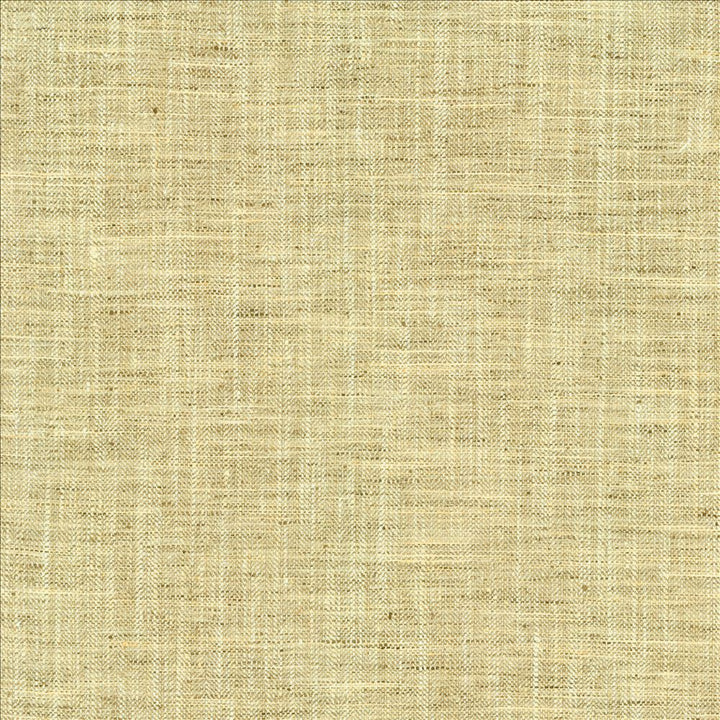 Best In Show Birch by Kasmir Designer Fabric 5144 100% Polyester
 INDIA </p><p>Repeat: Horizontal: N/A and Vertical: N/A 55 - Swanky Fabrics -