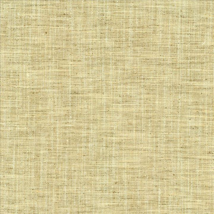 Best In Show Birch by Kasmir Designer Fabric 5144 100% Polyester INDIA 30,000 Wyzenbeek Double Rubs Horizontal: 0 Inches and Vertical: 0 Inches 55 - Swanky Fabrics -