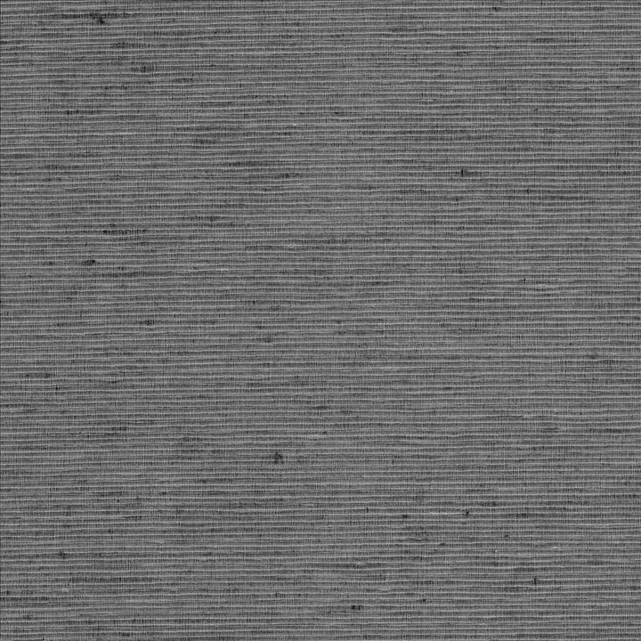 Bharat Charcoal by Kasmir Designer Fabric See sample 100% Polyester
 INDIA 20,000 Martindale Cycles </p><p>Repeat: Horizontal: N/A and Vertical: N/A 53 - Swanky Fabrics -