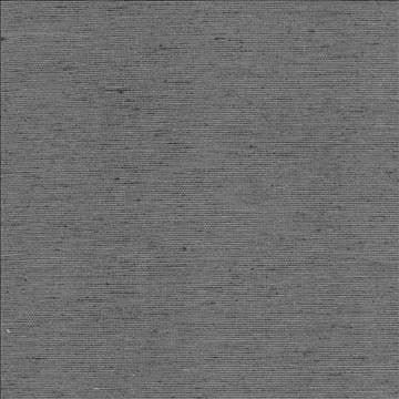 Bharat Charcoal by Kasmir Designer Fabric 5101 100% Polyester INDIA 20,000 Martindale Cycles H: N/A, V: N/A 53 - 54 - Swanky Fabrics - Kasmir