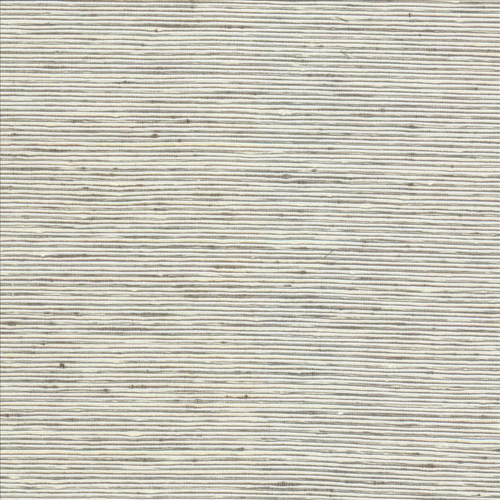 Bharat Fog by Kasmir Designer Fabric 5100 100% Polyester
 INDIA 20,000 Martindale Cycles </p><p>Repeat: Horizontal: N/A and Vertical: N/A 53 - Swanky Fabrics -