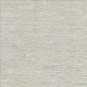 Bharat Fog by Kasmir Designer Fabric