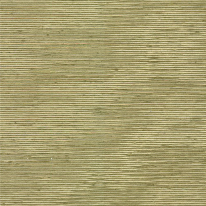 Bharat Kiwi by Kasmir Designer Fabric 5099 100% Polyester
 INDIA </p><p>Repeat: Horizontal: N/A and Vertical: N/A 53 - 54 - Swanky Fabrics -