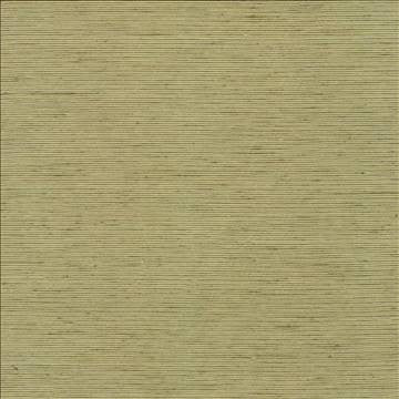 Bharat Kiwi by Kasmir Designer Fabric 5099 100% Polyester INDIA 20,000 Martindale Cycles H: N/A, V: N/A 53 - 54 - Swanky Fabrics - Kasmir