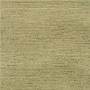 Bharat Kiwi by Kasmir Designer Fabric