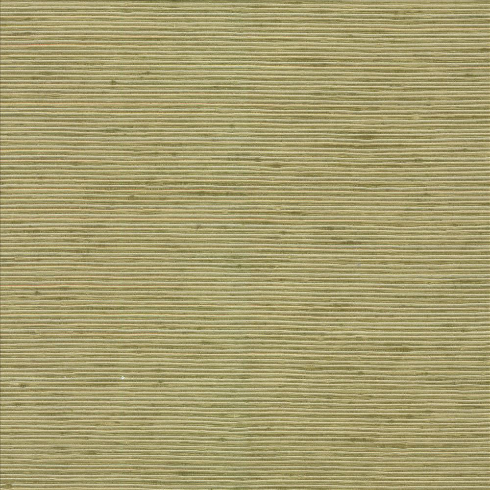 Bharat Kiwi  by Kasmir Designer Fabric 5099 100% Polyester
 INDIA 20,000 Martindale Cycles Horizontal: N/A and Vertical: N/A 53  - Swanky Fabrics -