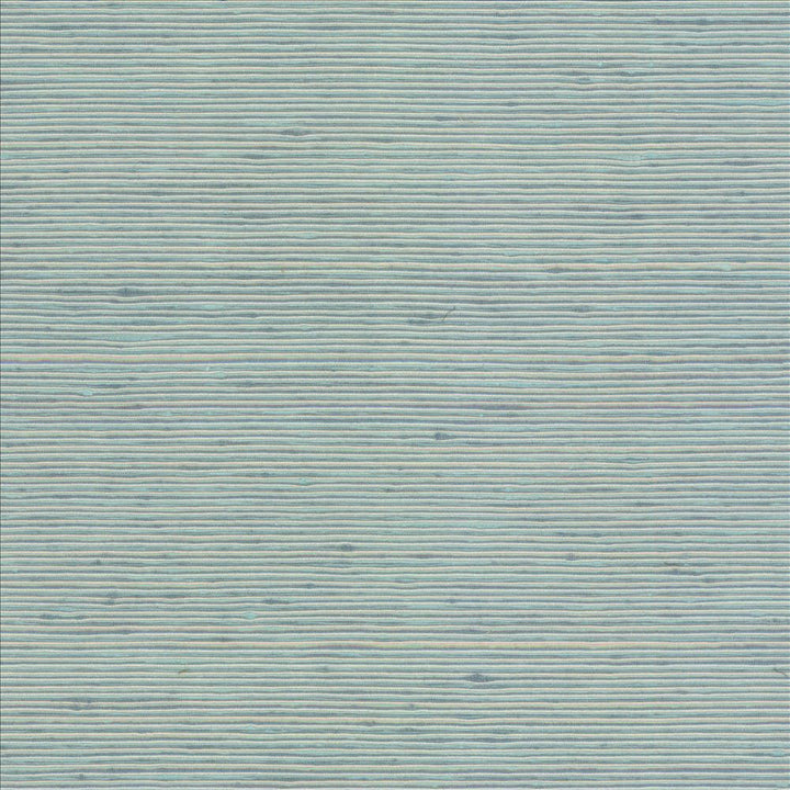 Bharat Lagoon  by Kasmir Designer Fabric 5098 100% Polyester
 INDIA 20,000 Martindale Cycles Horizontal: N/A and Vertical: N/A 53  - Swanky Fabrics -