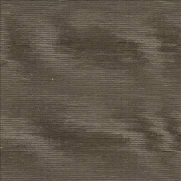 Bharat Saddle by Kasmir Designer Fabric 5101 100% Polyester INDIA 20,000 Martindale Cycles H: N/A, V: N/A 53 - 54 - Swanky Fabrics - Kasmir