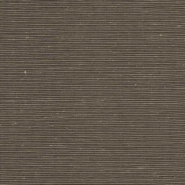 Bharat Saddle by Kasmir Designer Fabric 5101 100% Polyester INDIA 20,000 Martindale Cycles Horizontal: 0 Inches and Vertical: 0 Inches 53 - 54 - Swanky Fabrics -