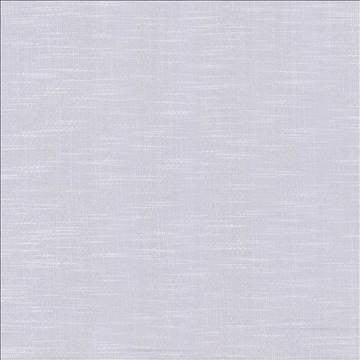 Big Sur Slate by Kasmir Designer Fabric 5025 55% Rayon 45% Polyester TAIWAN 30,000 Wyzenbeek Double Rubs H: N/A, V: N/A 54 - 55 - Swanky Fabrics - Kasmir