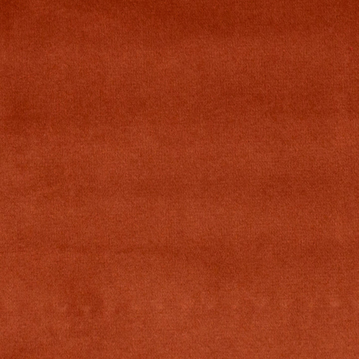 Bliss Terra Cotta by Europatex Designer Fabric Bliss 100% Polyester 0.00" 110.00 inches - Swanky Fabrics -