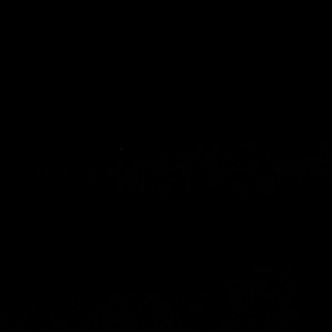 Bliss Black by Europatex Designer Fabric