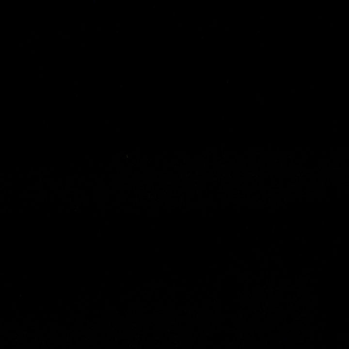 Bliss Black by Europatex Designer Fabric Bliss 100% Polyester 0.00" 110.00 inches - Swanky Fabrics -