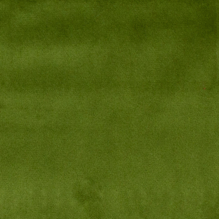 Bliss Grass by Europatex Designer Fabric Bliss 100% Polyester 0.00" 110.00 inches - Swanky Fabrics -