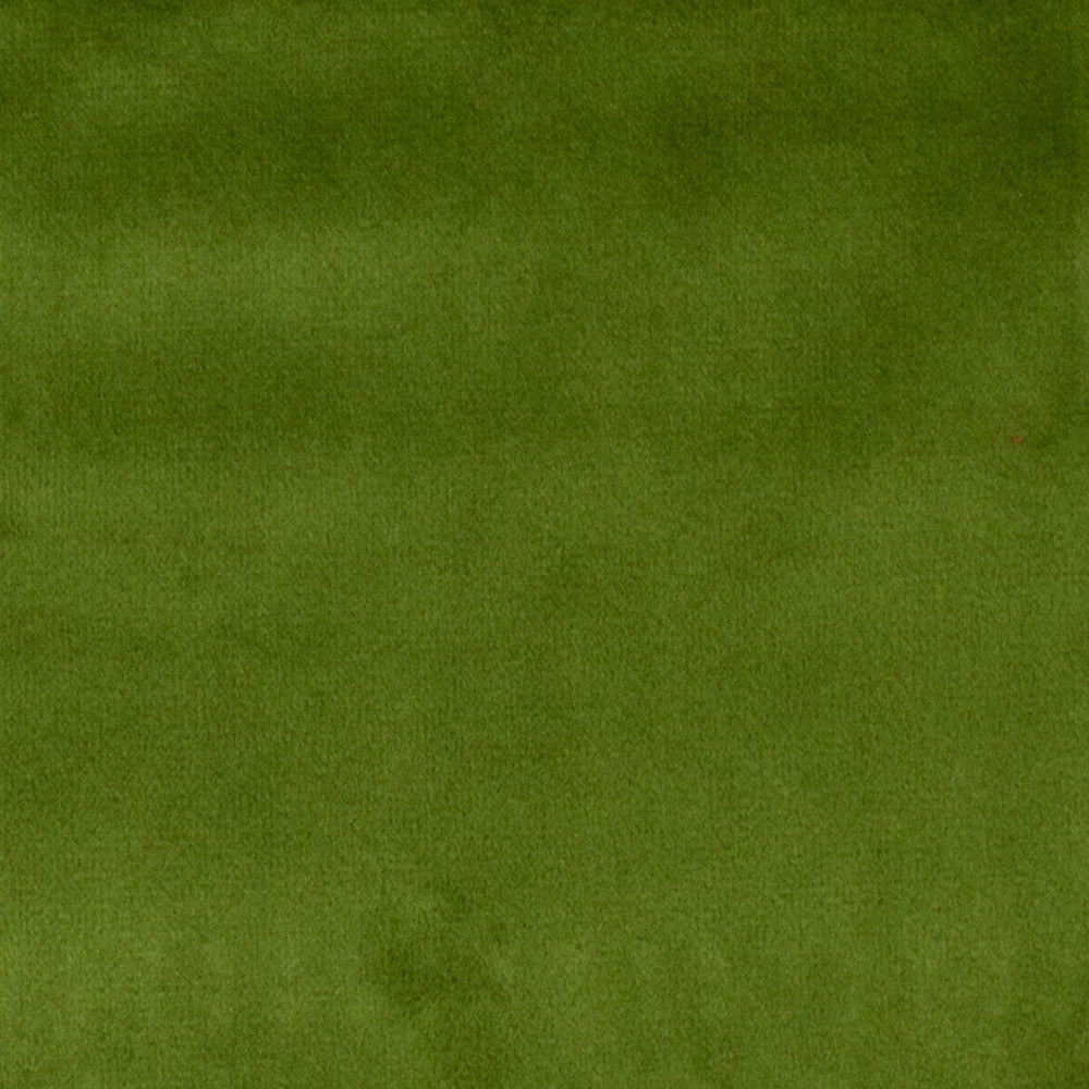 Bliss Grass by Europatex Designer Fabric Bliss 100% Polyester 0.00" 110.00 inches - Swanky Fabrics -