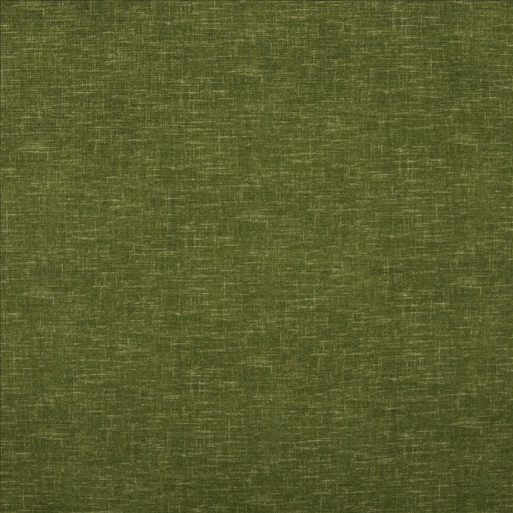 Bluffhaven Green by Kasmir Designer Fabric 5180 100% Polyester
 CHINA 100,000 Wyzenbeek Double Rubs </p><p>Repeat: Horizontal: N/A and Vertical: N/A 54 - Swanky Fabrics -