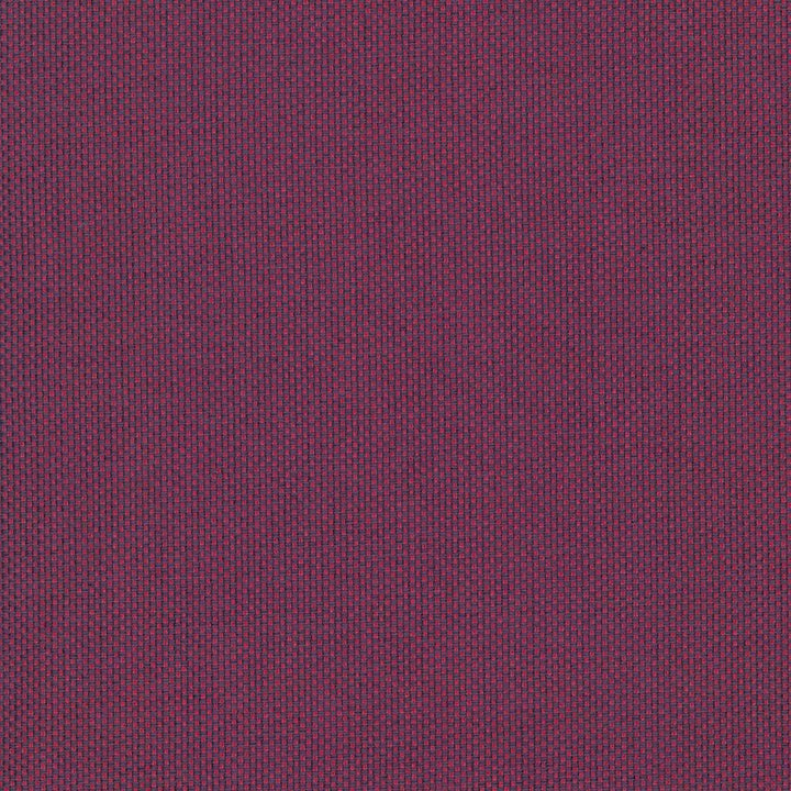 Bolsa Blossom  by Kasmir Designer Fabric 5053 57% Cotton
43% Polyester
 TURKEY 87,000 Wyzenbeek Double Rubs Horizontal: N/A and Vertical: N/A 55  - Swanky Fabrics -