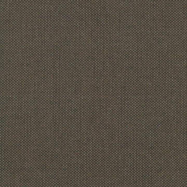 Bolsa Chocolate by Kasmir Designer Fabric 5053 57% Cotton
43% Polyester
 TURKEY </p><p>Repeat: Horizontal: N/A and Vertical: N/A 55 - Swanky Fabrics -
