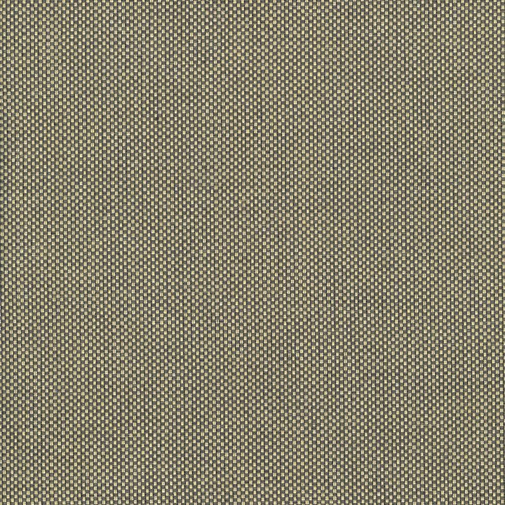 Bolsa Gold by Kasmir Designer Fabric 5053 57% Cotton
43% Polyester
 TURKEY </p><p>Repeat: Horizontal: N/A and Vertical: N/A 55 - Swanky Fabrics -