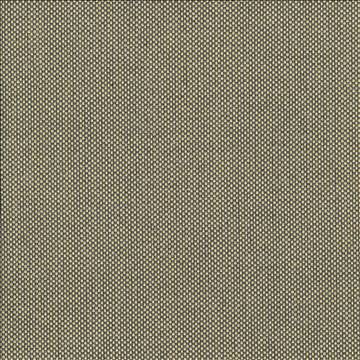 Bolsa Gold by Kasmir Designer Fabric 5053 57% Cotton 43% Polyester TURKEY 87,000 Wyzenbeek Double Rubs H: N/A, V: N/A 55 - Swanky Fabrics - Kasmir