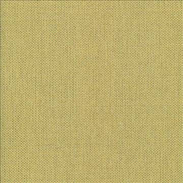Bolsa Kiwi by Kasmir Designer Fabric 5053 57% Cotton 43% Polyester TURKEY 87,000 Wyzenbeek Double Rubs H: N/A, V: N/A 55 - Swanky Fabrics - Kasmir