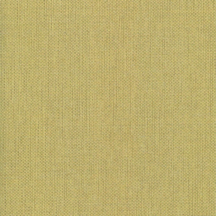 Bolsa Kiwi by Kasmir Designer Fabric 5053 57% Cotton 43% Polyester TURKEY 87,000 Wyzenbeek Double Rubs Horizontal: 0 Inches and Vertical: 0 Inches 55 - Swanky Fabrics -