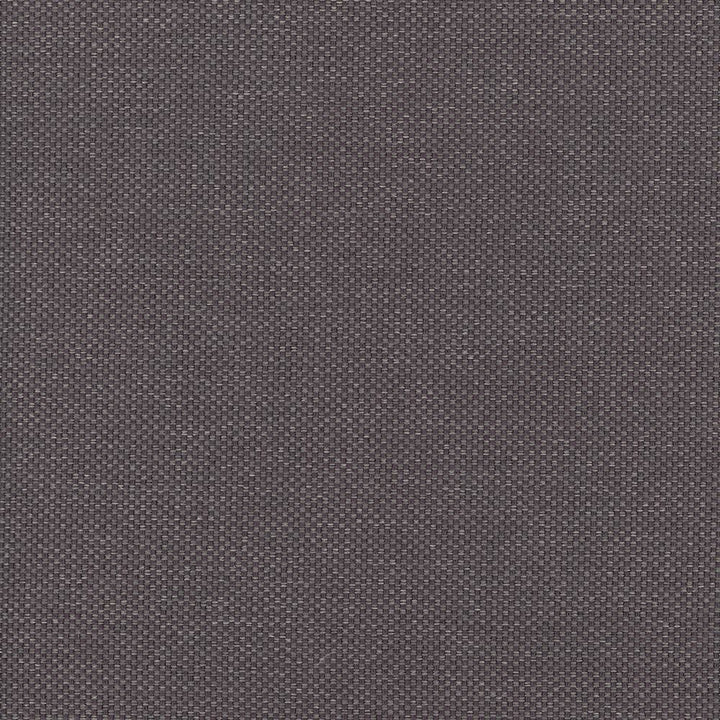Bolsa Mauve  by Kasmir Designer Fabric 5053 57% Cotton
43% Polyester
 TURKEY 87,000 Wyzenbeek Double Rubs Horizontal: N/A and Vertical: N/A 55  - Swanky Fabrics -