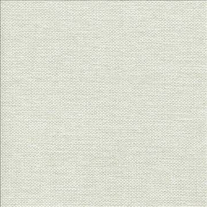 Bolsa Mist by Kasmir Designer Fabric