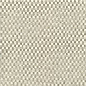 Bolsa Oatmeal by Kasmir Designer Fabric