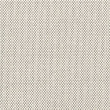 Bolsa Pumice by Kasmir Designer Fabric 5053 57% Cotton 43% Polyester TURKEY 87,000 Wyzenbeek Double Rubs H: N/A, V: N/A 55 - Swanky Fabrics - Kasmir