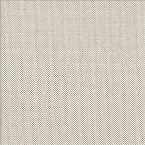 Bolsa Pumice by Kasmir Designer Fabric
