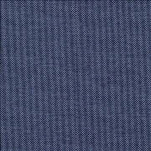 Bolsa Purple by Kasmir Designer Fabric